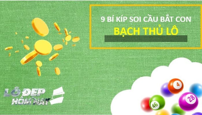 Bạch thủ lô là gì? 9 Kinh nghiệm soi cầu lô đề Miền Bắc hiệu quả Bạch thủ lô Miền Bắc là gì? Cách soi cầu bắt con lô bạch thủ duy nhất