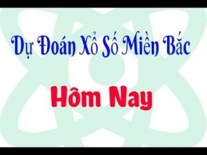 Dự đoán xổ số 15/11
